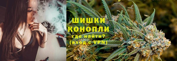 стаф Балахна